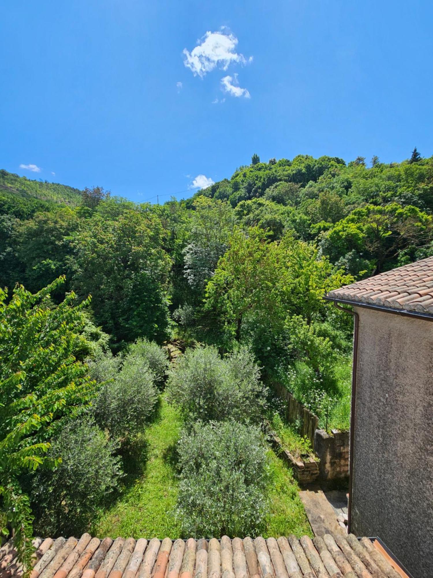 La Rosa Dei Venti - Country House Fossato di Vico Esterno foto